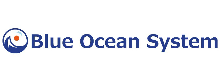 Blue Ocean System